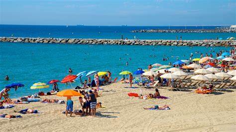 Escorts y Putas en Premià de Mar